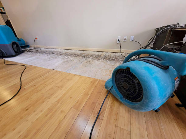 Professional Water Removal technician working in Morris, OK
